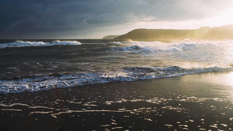 RIC Việt Nam triển khai thành công hệ thống ERP cho tập đoàn X